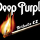Profilový obrázek Deep Purple Tribute CZ